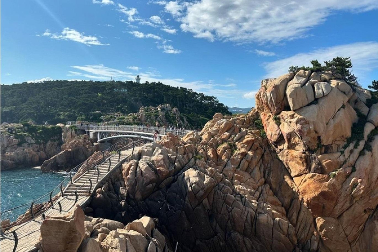 Busan: excursão particular de 1 dia a Ulsan com um guia licenciado