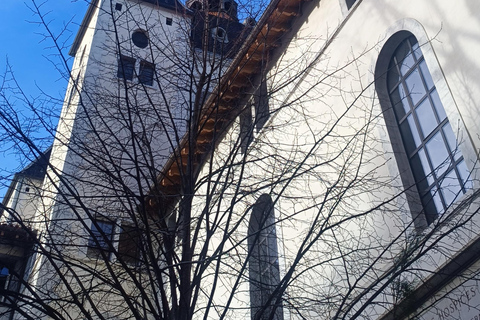 Lyon: Guided tour of the Grand Hôtel-Dieu Lyon: Guided Tour of the Grand Hôtel-Dieu