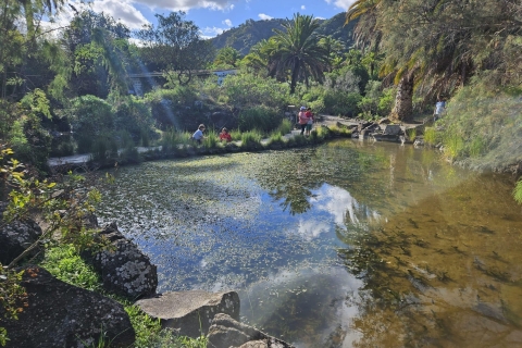 Bandama Caldera, Botanic Garden and Old Town from Las Palmas