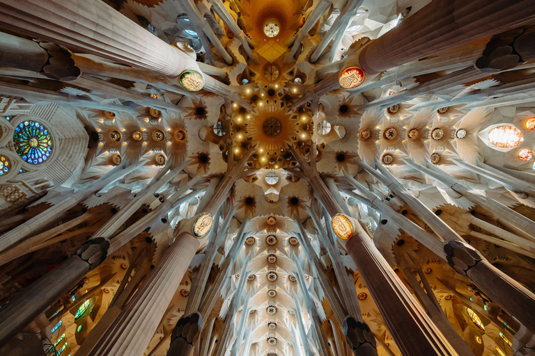 Barcelona: Sagrada Familia Tour w/Skip-the-Line Entry Ticket