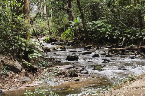 Chiang Mai: Doi Inthanon Pha Dok Siew Trek & Karen Culture
