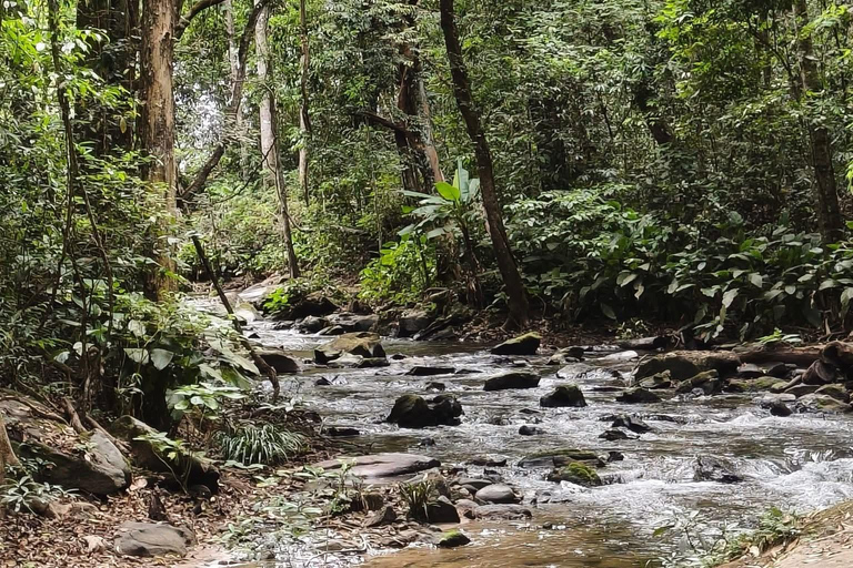 Chiang Mai: Doi Inthanon Pha Dok Siew Trek & Karen Culture