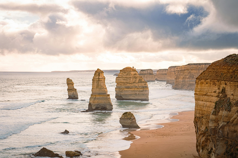 GREAT OCEAN ROAD [5 PPL ONLY] Skilled photographer guide 12 APOSTLE GREAT OCEAN ROAD [5 PPL ONLY] 6 HRS FREE TIME