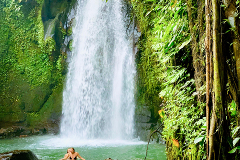 Ubud privato: Cascate, tempio dell&#039;acqua, terrazza di risoTour di un giorno (10-12 ore di tour), escluse le tariffe dei biglietti d&#039;ingresso