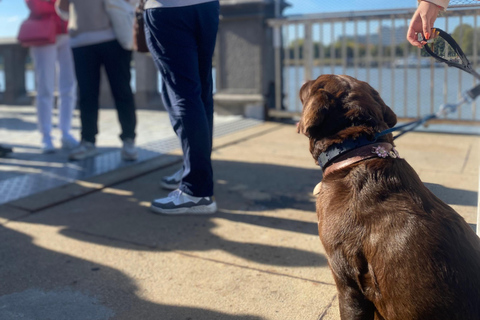 Antwerp: Historical Walking Tour Antwerp city tour