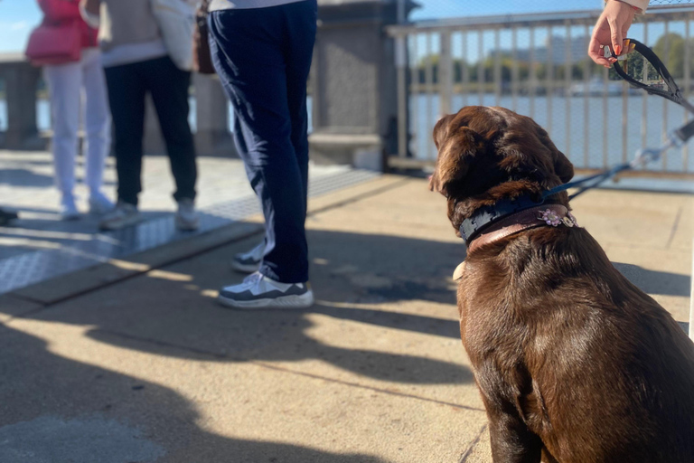 Antwerp: Historical Walking Tour Antwerp city tour