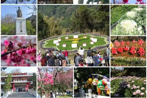 Podwórko Tajpej — jednodniowa wycieczka do Parku Narodowego Yangmingshan9-godzinna podróż {czteroosobowy samochód służbowy}