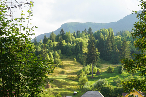 Brașov: Slow Travel Photography Tour in Saxon Villages