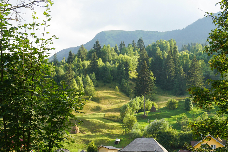Brașov: Slow Travel Photography Tour in Saxon Villages