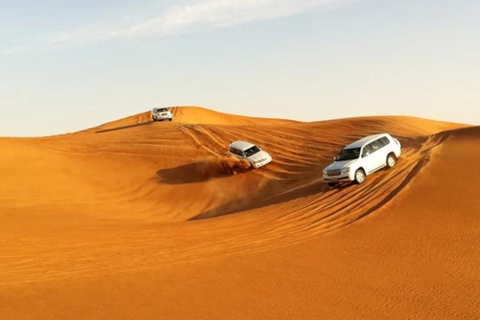 Doha: safari, All-terrain vehicle, cammelli, sandboarding e tour nel mare internoDal punto d&#039;incontro