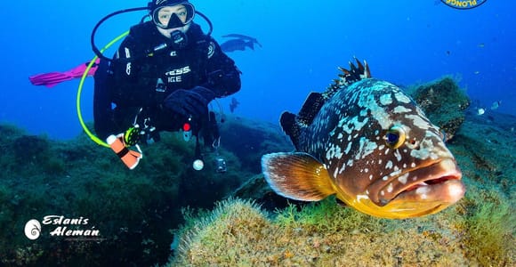 South Fuerteventura: scuba diving from a boat for certified divers