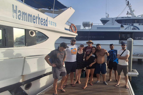 Aqaba: Guided Red Sea Boat Diving Experience with Lunch