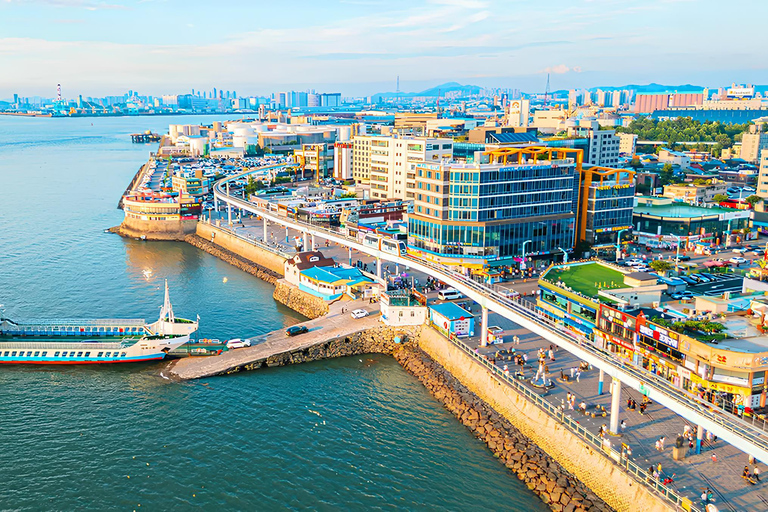 Seoul: Incheon Landing Operation & UN Forces Expert-Led Tour Incheon Landing Operation & UN Forces History (Private Tour)