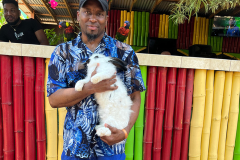 Exotic bird tour and Souvenir Shopping from Montego Bay