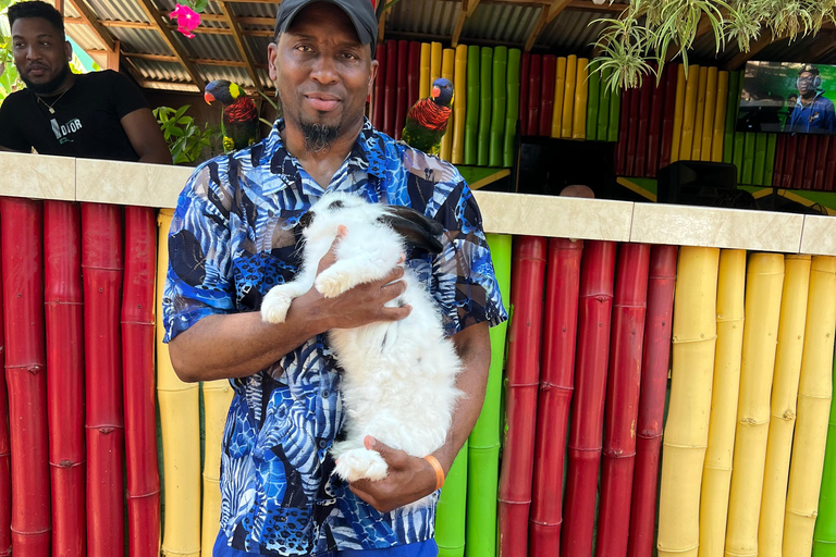 Exotic bird tour and Souvenir Shopping from Montego Bay