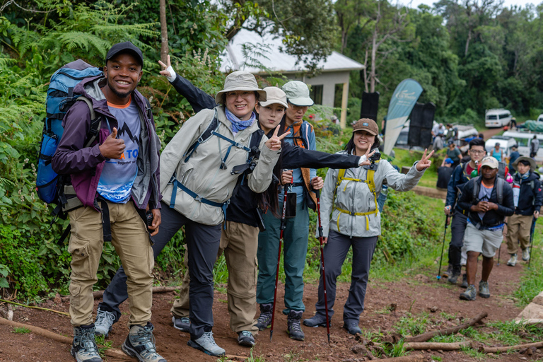 Kilimanjaro: Caminhada de 6 dias na Rota Machame com transfer do aeroporto