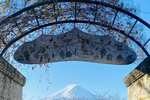 From Tokyo: Mount Fuji Private Tour With English Guide Route 2 Mount Fuji & Hakone: Full day customized Tour