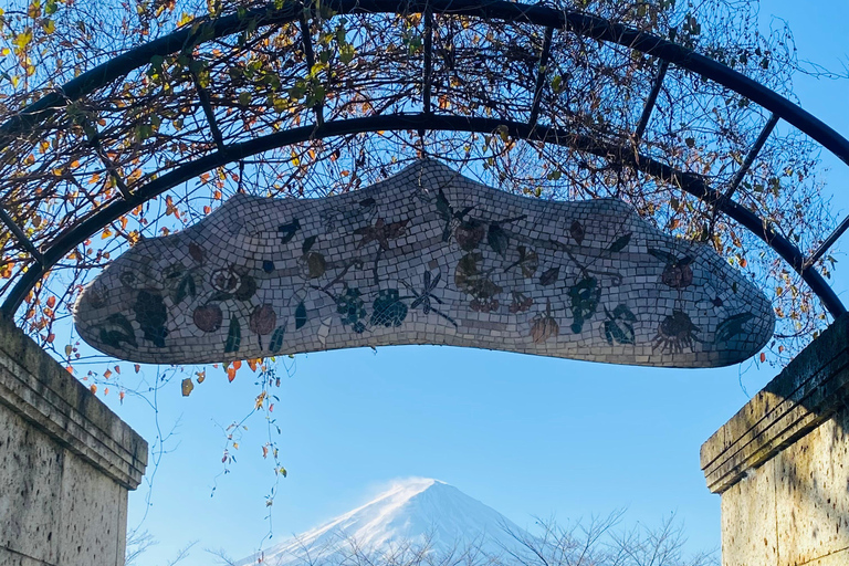 From Tokyo: Mount Fuji Private Tour With English Guide Route 2 Mount Fuji & Hakone: Full day customized Tour