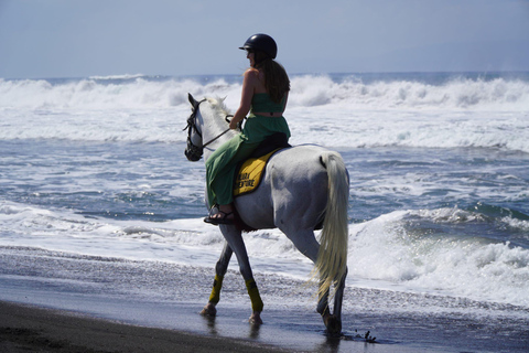 Bali: Sunrise Horse Riding Sanur Beach Experience 1 Hour Ride Include Hotel Transfer