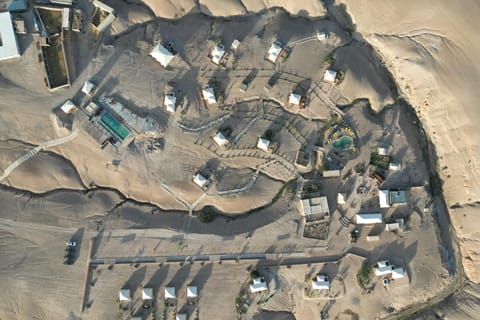 Marrakech: Night Under the Stars in Agafay Desert w/ dinner