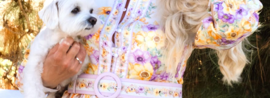 Grande Canarie : séance photo dans une demeure historique