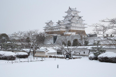 Himeji Castle Guided Tour and Kobe Beef Lunch from Kyoto Return Shinkansen (bullet train) ticket to Shin-Osaka