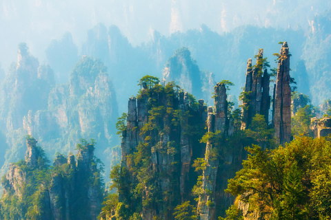 Zhangjiajie National Forest Park One-Day Tour
