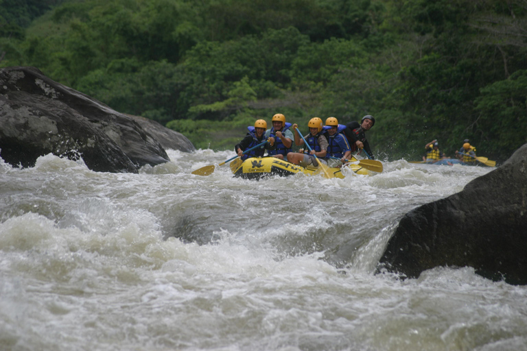 Rio: White Water Rafting Adventure tour in Rio de Janeiro