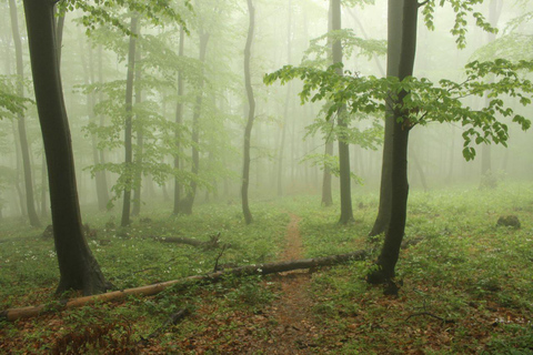 Wanderung in der Umgebung von Belgrad: Private Tour nach Kosmaj