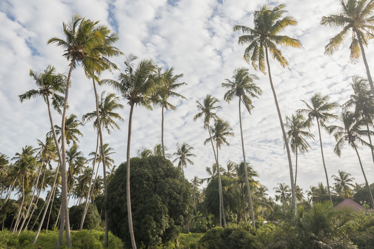 Zanzibar: Fyrhjulingsoffroadäventyr | KiwengwaByupptäcktsresa – utan transfer