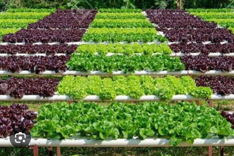 Kandy Top City Sights & Agro Tech Park Visit 4-Hours Tour Kandy Top City Sights visit -01