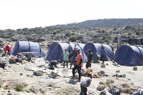 Esplora la nostra classifica dei migliori 7 giorni di arrampicata sul Kilimangiaro Lemosho