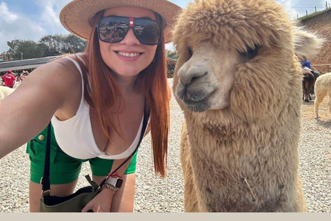 Medellín: Guatapé &amp; Piedra del Peñol Private Tour