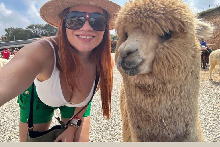 Medellín: Guatapé &amp; Piedra del Peñol Private Tour