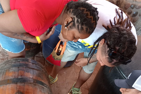 Mazatlan: Mezcal Factory Tour with Tasting and Lunch