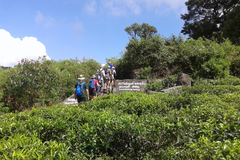 Trekking z Kandy do Ella