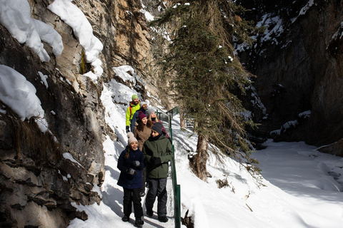 Tour privato di Banff di un giorno intero Lake Louise, Gondola e altro ancora