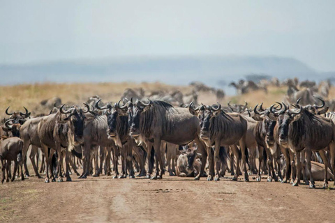 Mara 3-Day Photography Expedition Tour from Nairobi Mara 3-Day Photography Expedition Tour from Nairobi