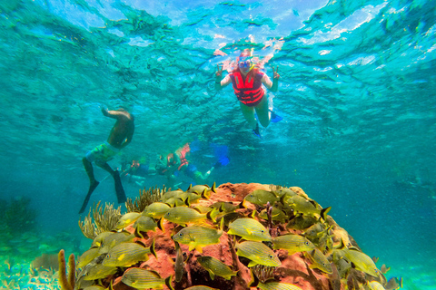 Cancún: Excursión de snorkel por los arrecifes de Puerto Morelos y comida junto al mar