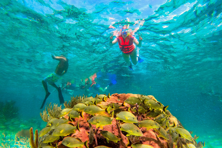 Cancún: Excursão de snorkeling aos recifes de Puerto Morelos e almoço à beira-marCancún: Passeio de mergulho com snorkel nos recifes de Puerto Morelos e almoço à beira-mar