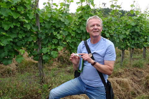 Koblenz: De levende wijngaard, natuur & wijngenot