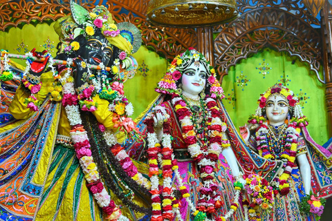 From Kolkata: Mayapur Temples and Teachings Private Day Trip