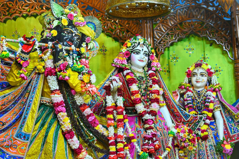 From Kolkata: Mayapur Temples and Teachings Private Day Trip