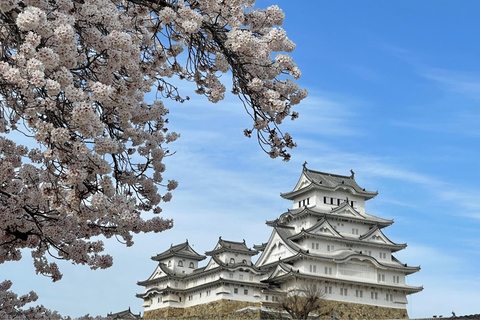 Det bästa av Himeji Castle: 3 timmars tur med licensierad guide