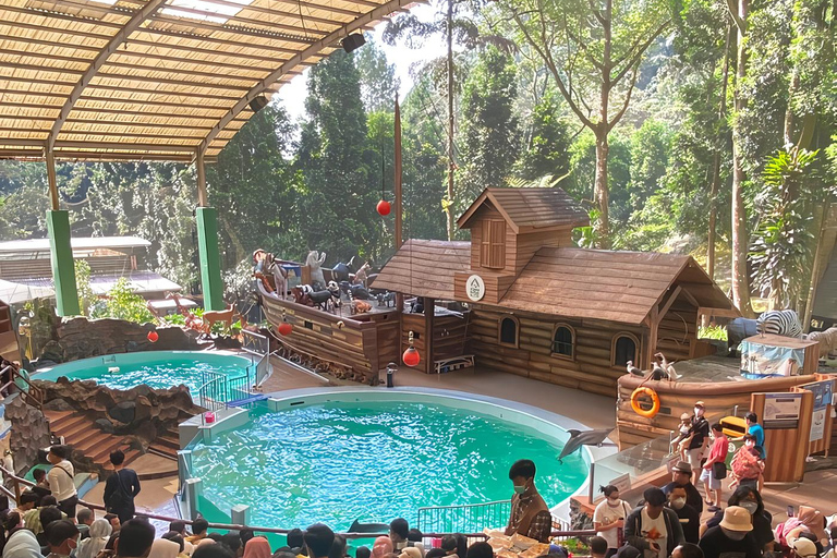 Jakarta : Spectacle du parc safari, plantation de thé et chute d'eau