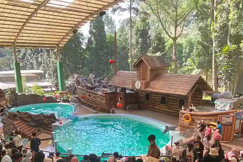 Jakarta : Safari Park Show, Tea Plantation & Waterfall