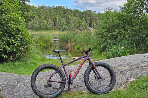 Stockholm : Aventure en forêt en Fat Bike avec déjeuner et sauna