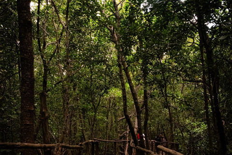 Jozaniforest, Kuza-Höhle, Blaue Lagune, Felsenrestaurant