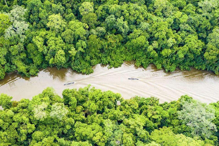 Da Iquitos || Tour di 4 giorni nel nord dell&#039;Amazzonia ||