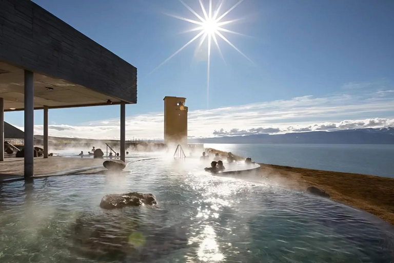 Akureyri: Lake Mývatn, GeoSea, & Whale Watching Tour